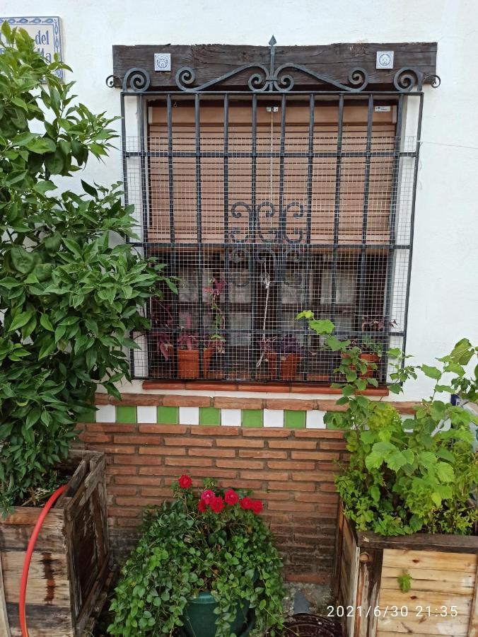 La Casita De Paco Albaicin Apartment Granada Exterior photo